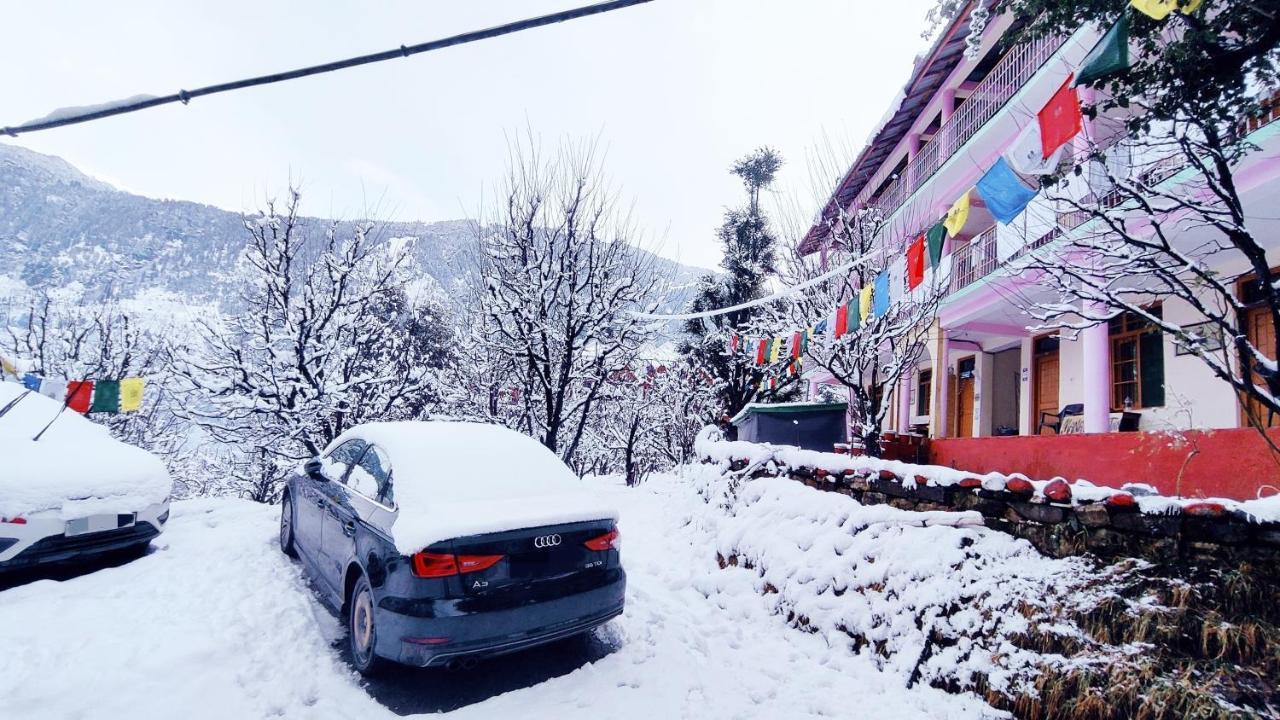 Manali Top Inn - Manali (Himachal Pradesh) — Photos 2