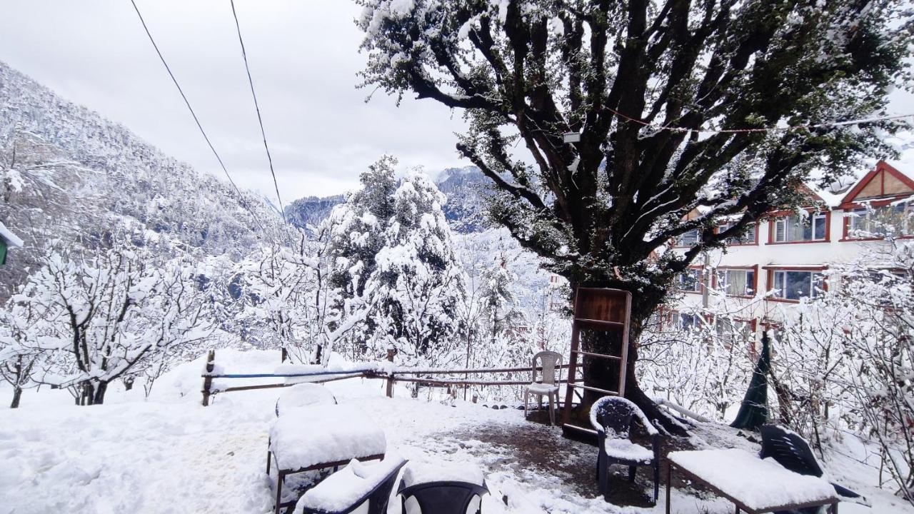 Manali Top Inn - Manali (Himachal Pradesh) — Photos 3